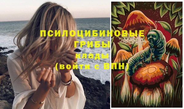 таблы Арсеньев